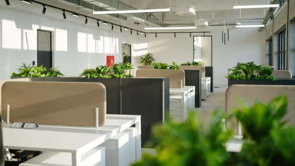 MORE INFORMATION <span>ABOUT THE SPACE </span>